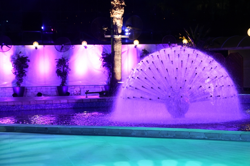 Wedding of Toni Chidiac and Joanna Khoury - Ceremony